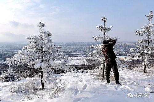 以冬图片大全,捕捉四季变换的瞬间
