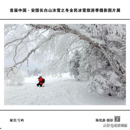 以冬图片大全,捕捉四季变换的瞬间