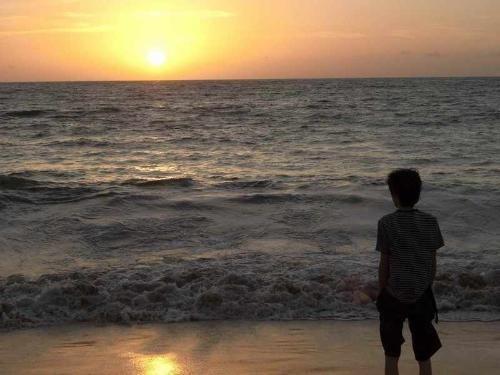 一个人在海边图片,漫步海岸线