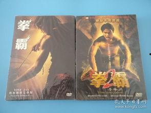 拳霸1国语版,热血拳坛，传奇崛起！