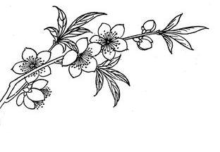 桃花树简笔画图片大全,简笔画中的诗意瞬间