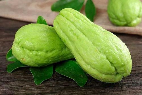 崖城水果吊瓜今日价格多少