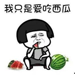 娱乐圈吃瓜沙雕动漫,沙雕动漫中的吃瓜风云