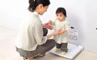 日本女人如厕,独特习惯与卫生秘密大揭秘