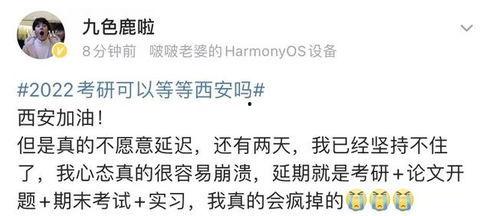 吃黑籽瓜文案短句,一口咬下，尽享夏日清新滋味”