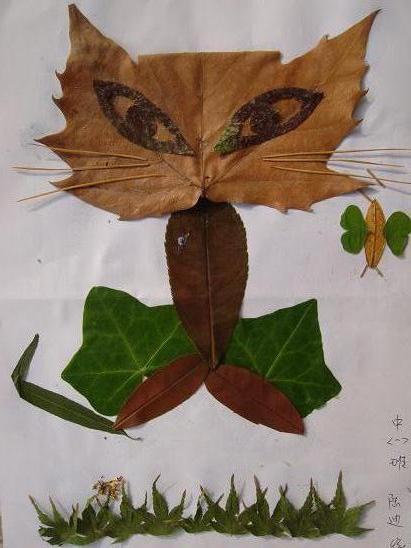 种子贴画作品图片大全,种子贴画艺术作品集锦