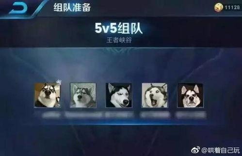 五黑图片,揭秘网络社交的暗流涌动