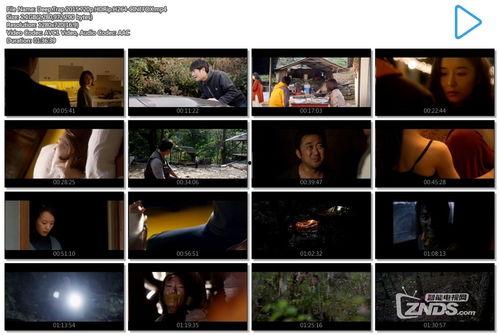 陷阱 韩国2015,揭秘背后的真相与影响