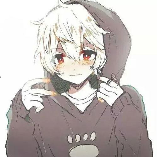 动漫男子图片,探寻魅力无限的虚拟世界