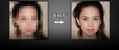 马赛克日本 种子,探寻种子背后的文化密码