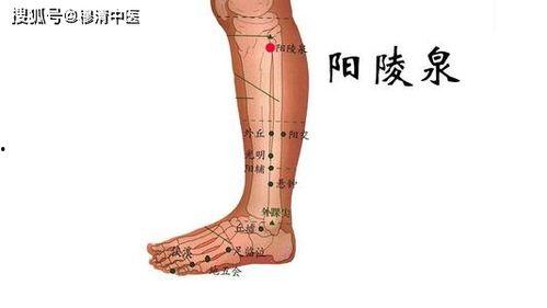 大腿外侧凹陷图片,探寻人体美学与生理奥秘