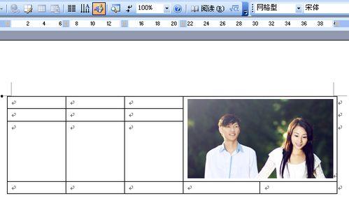 word表格插入图片,Word表格中插入图片的实用技巧概述