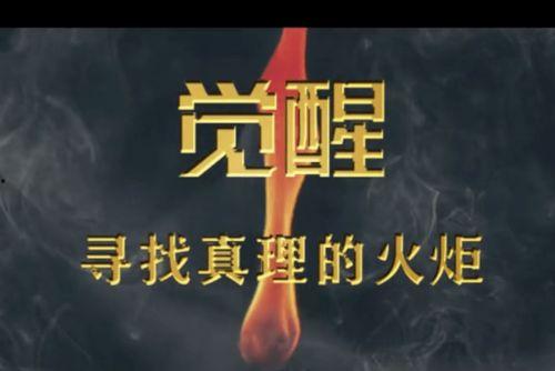 关于理想的视频,视频中的理想与现实