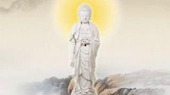 施食视频,见证人间大爱，传递温暖力量
