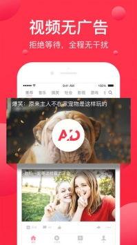 西瓜视频苹果,苹果科技盛宴，尽享智能生活新体验