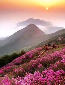 韩国的早晨,揭开新一天的神秘面纱