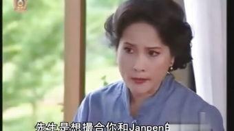 爱的宿命国语版