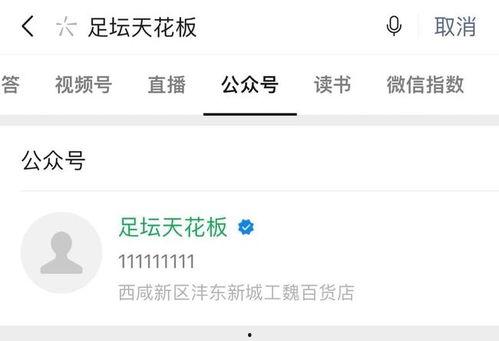 葡视频,葡视频带你领略异国风情