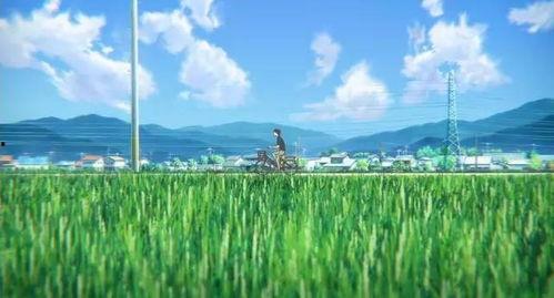 晴空日本电影,穿越时光的美丽邂逅