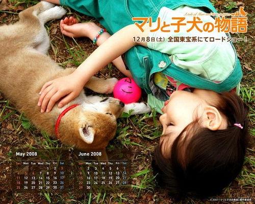 日本电影地震狗,灾后生命的守护者